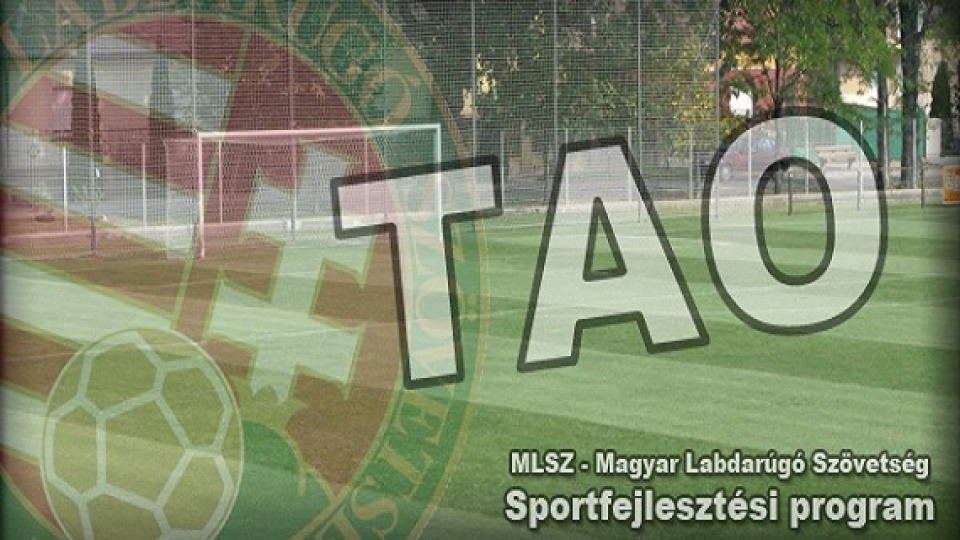 TAO 2019/20 SPORTFEJLESZTÉSI PROGRAMOK ÉRTÉKELÉSI ALAPELVEI